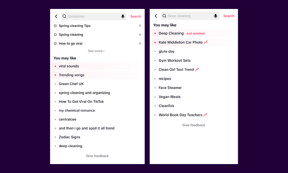 search bar