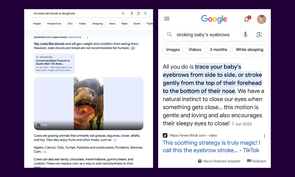 Screenshot of Google featured snippet showing content from a TikTok video.