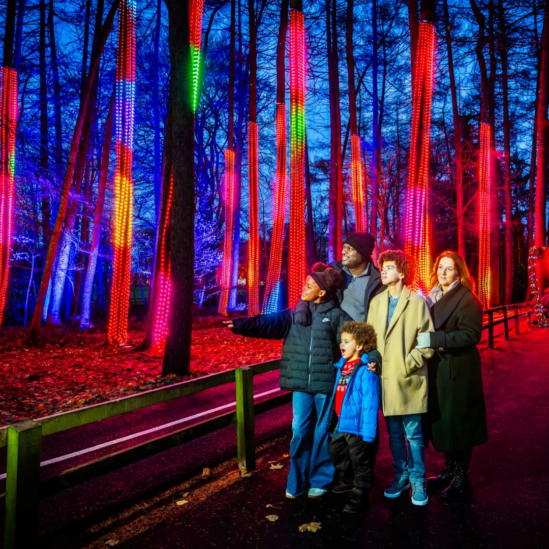 Family of five stand inside Stockeld Park’s winter illumination forest trail located in the Enchanted Forest.